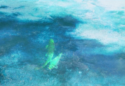 Screen shot from Adobe Premiere Pro project