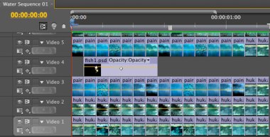 Screen shot from Adobe Premiere Pro project